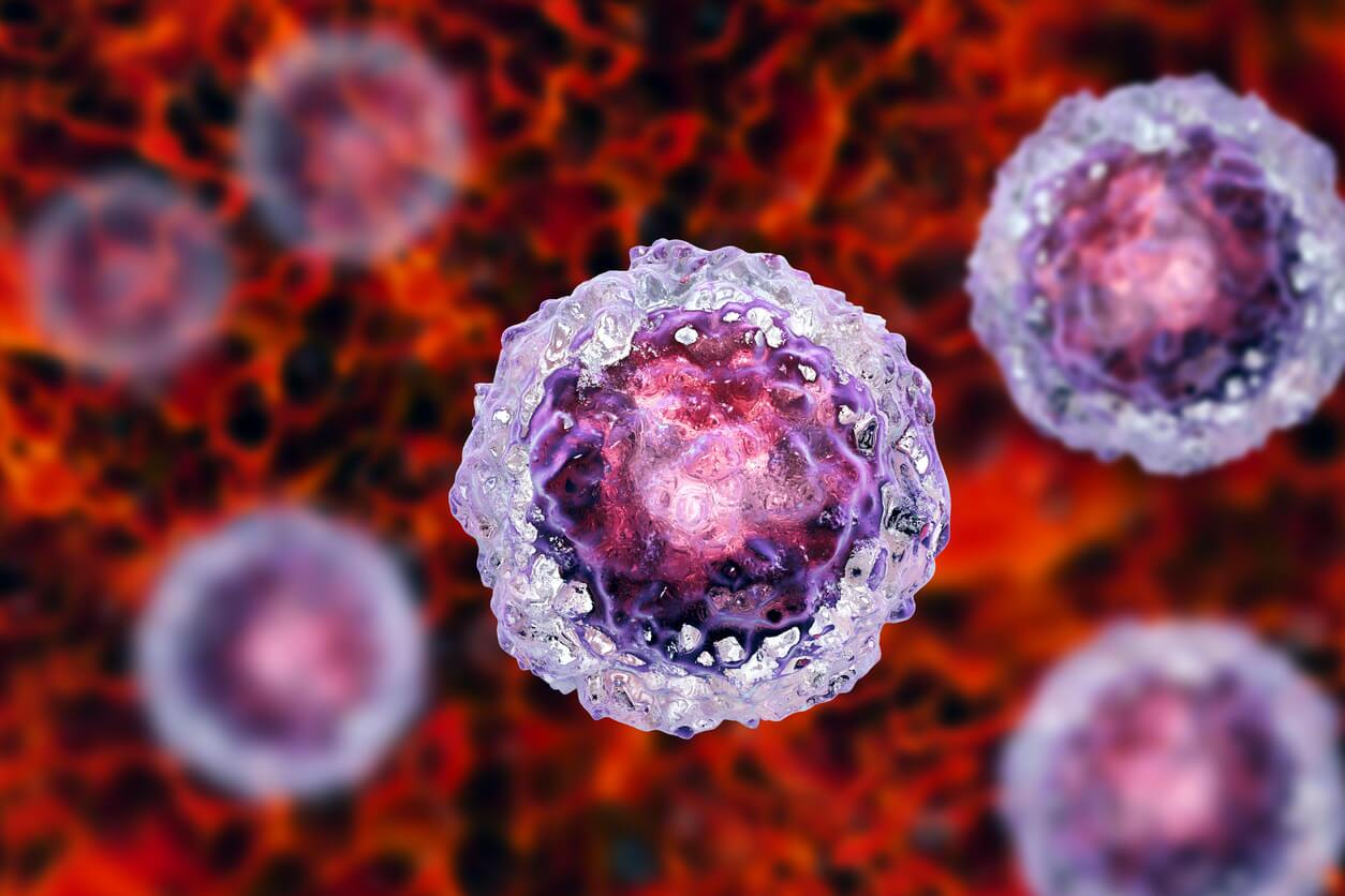 Regenerative Medicine and Stem Cells