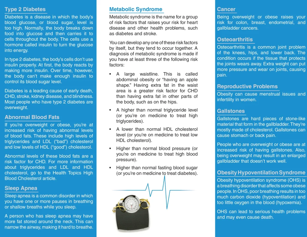 trifold-pamphlet-obesity-health-risks